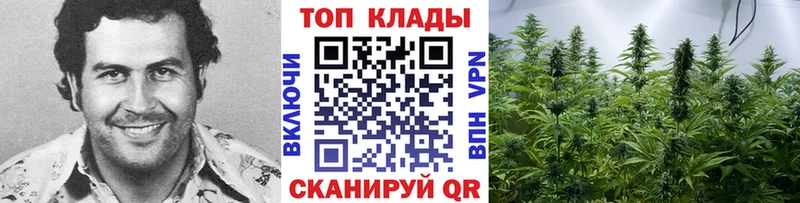 Купить наркотики Шимановск ГАШ  Амфетамин  Мефедрон  kraken вход  APVP  Канабис 
