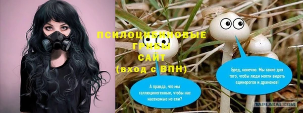 каннабис Алексеевка