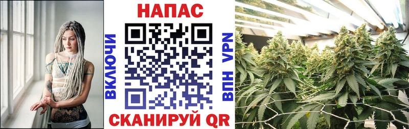 Шишки марихуана тримм  мориарти Telegram  Шимановск 